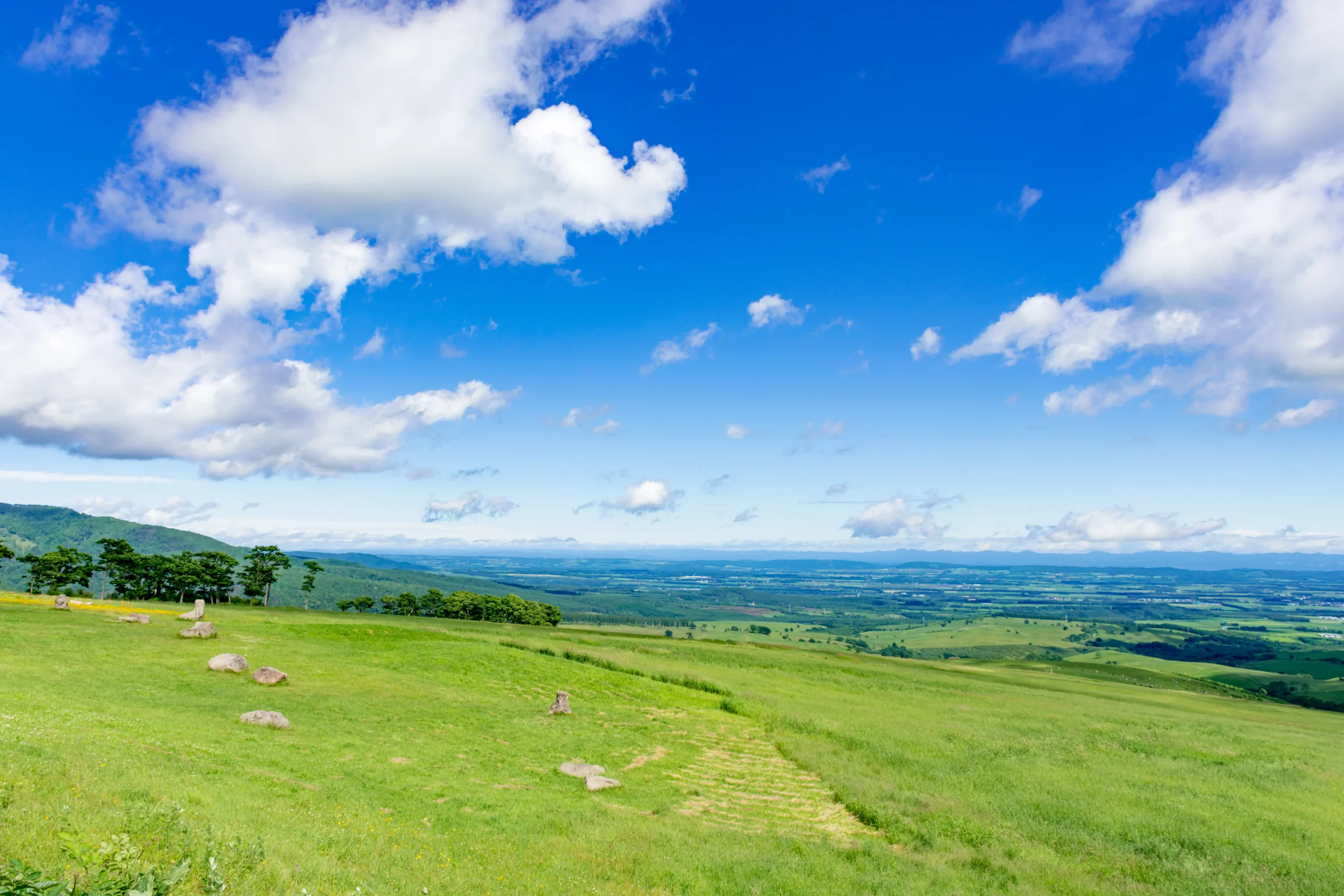 alt属性の表示テストです