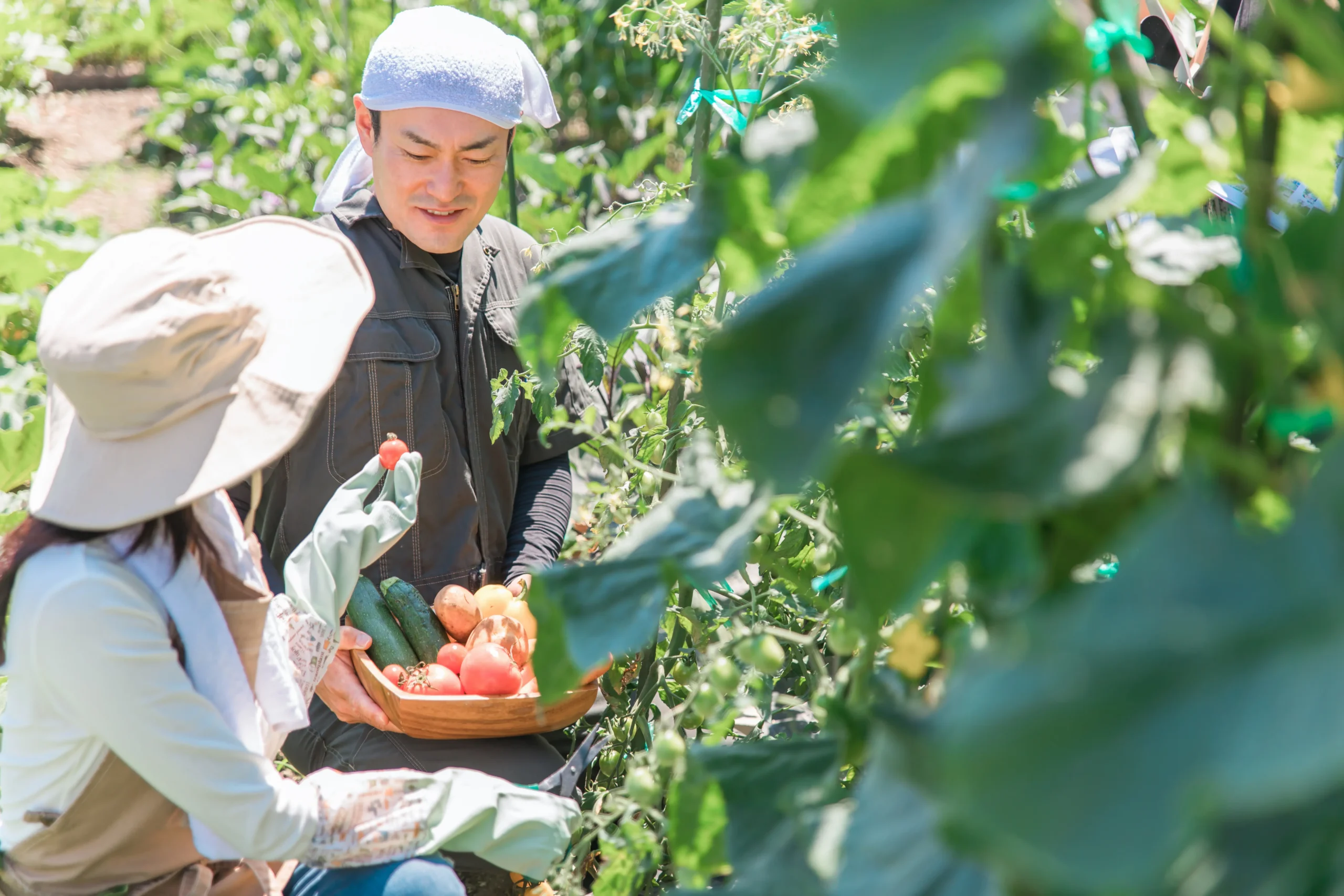 alt属性の表示テストです